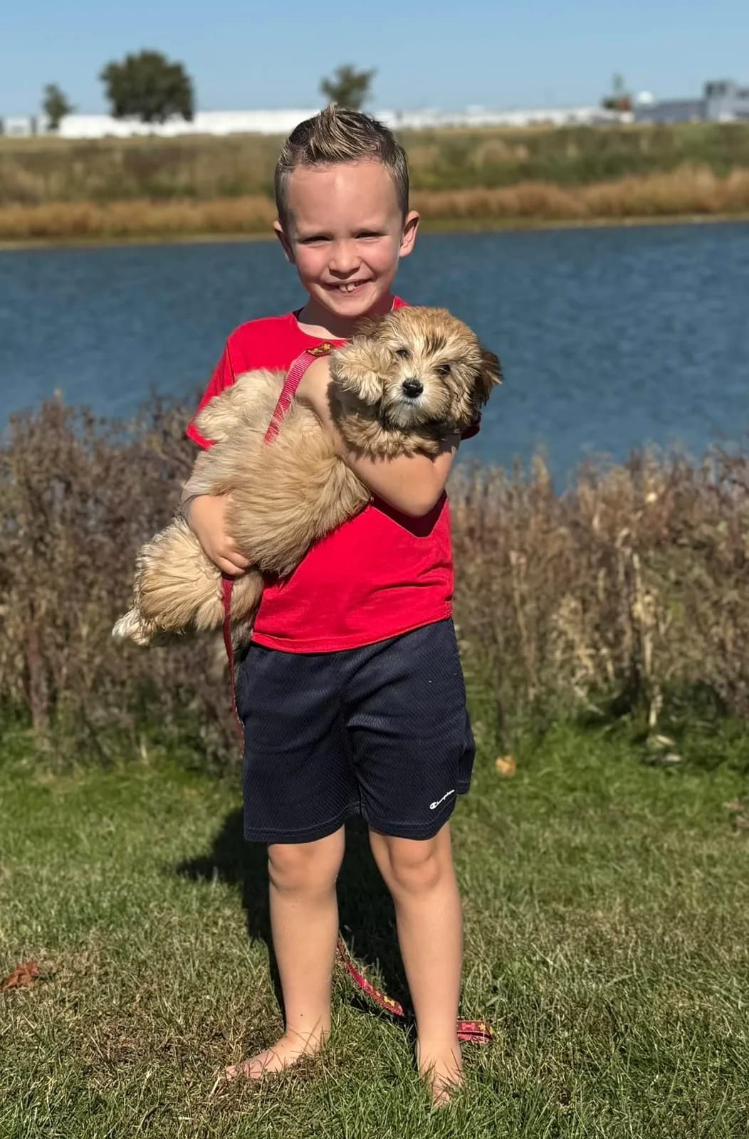 A young boy holding his new Coton puppy by the lake