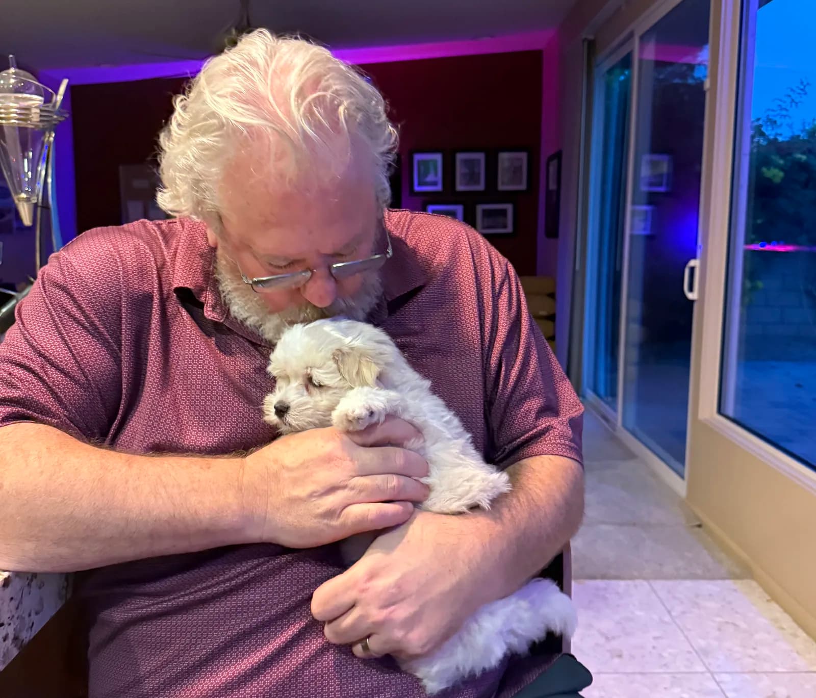 A new owner giving his Coton puppy a kiss on gotcha day